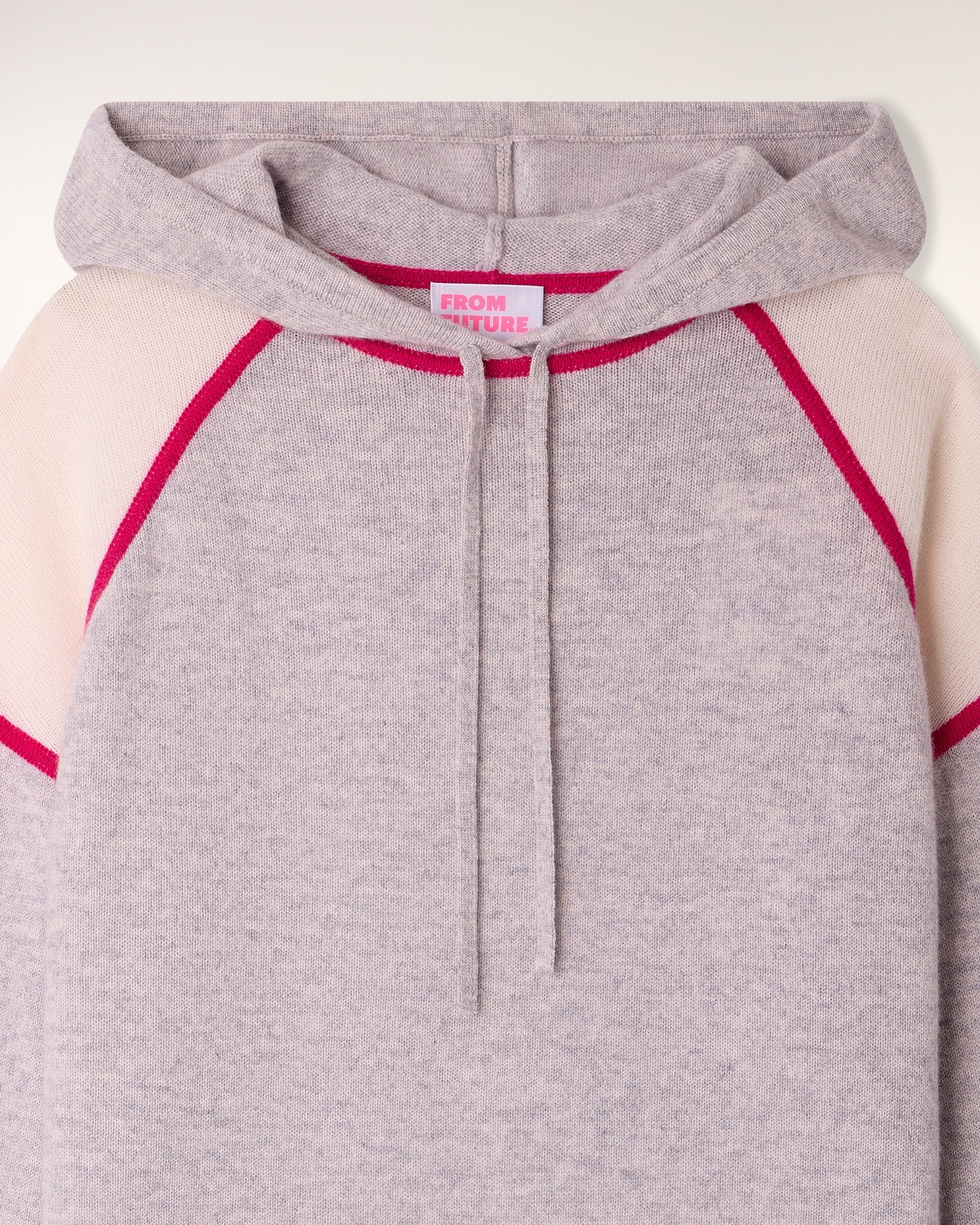 Pull Hoodie Tricolore
