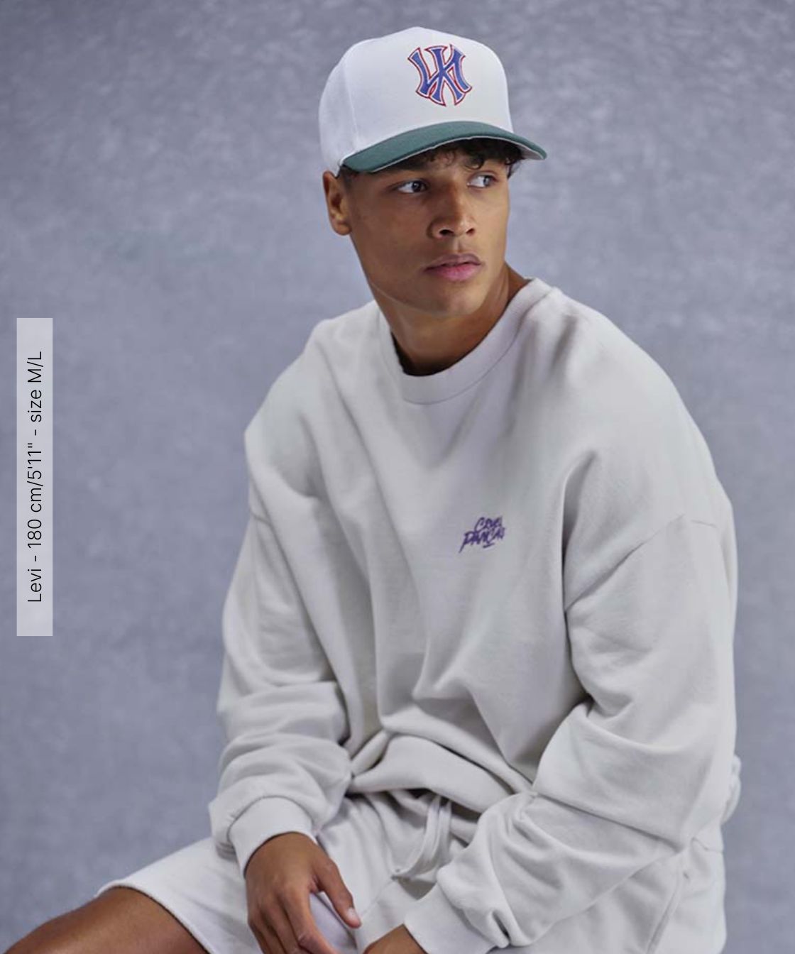 Sweatshirt Gris