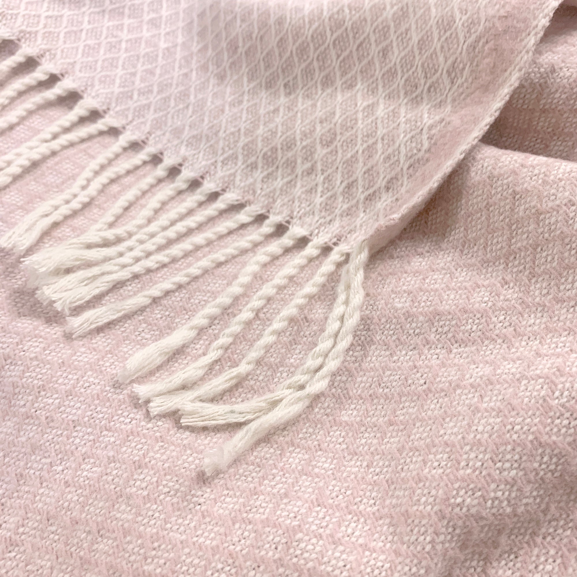 Plaid Coast - Rose