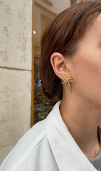 Boucles D'Oreilles Polar