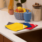 Éponges Plates - 4 Couleurs