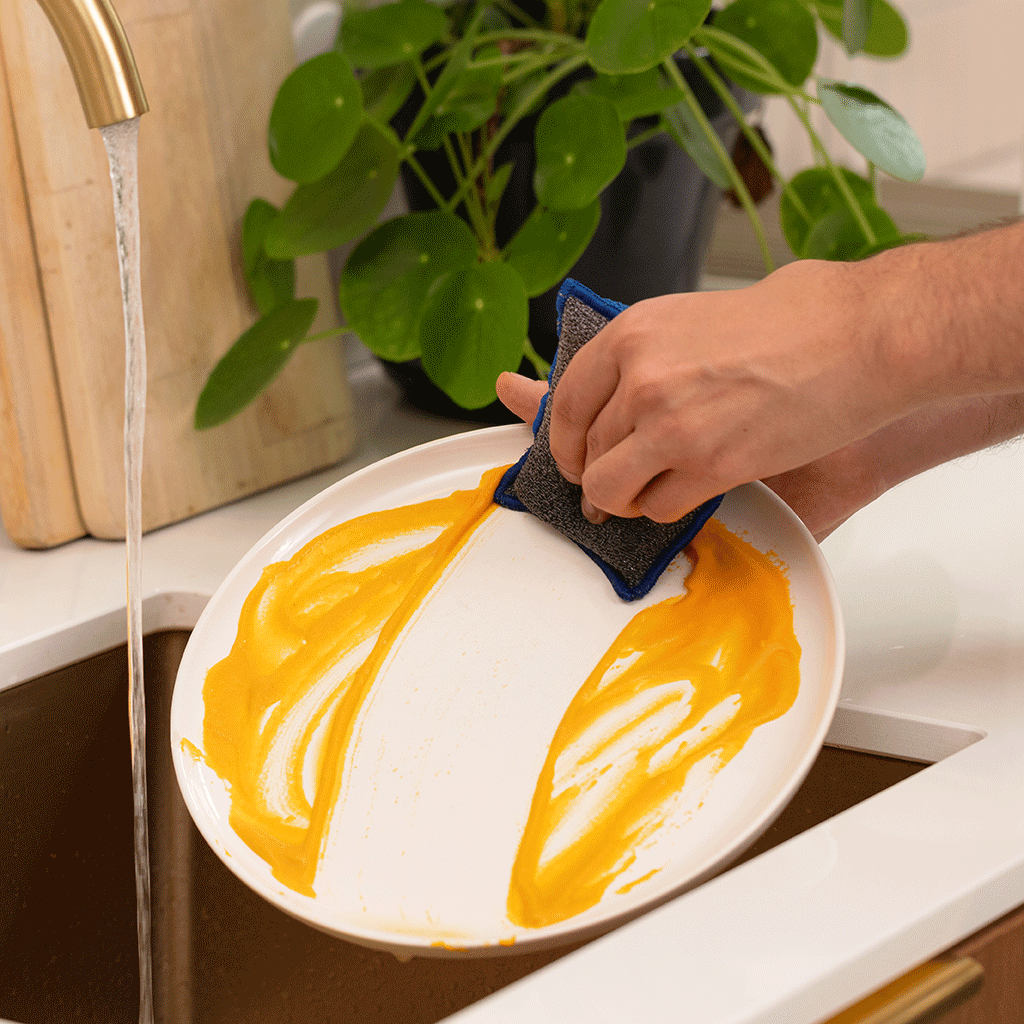 Pack Couleurs - Éponges Et Éponges Plates