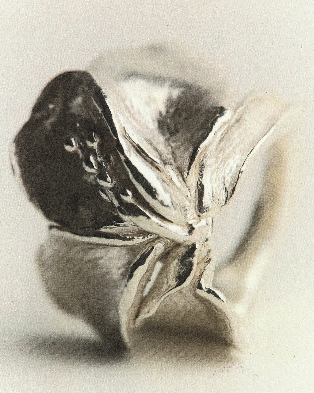 Bagues Jeanette - Argent
