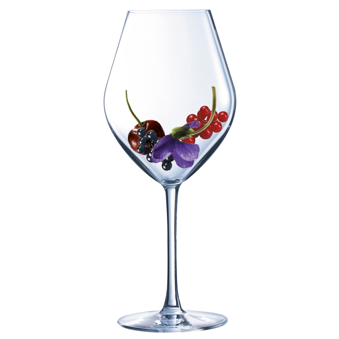 Lys - Lot De 6 Verres À Pied 25Cl - Cristallin Expert - Translucide