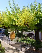 La Ferme d'Augustin