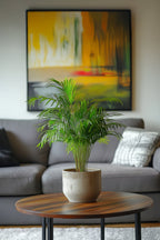 Lot De 2 Palmiers Areca Doré S – Plante D’Intérieur