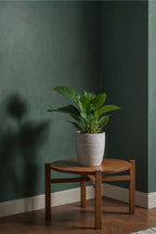 Lot De 2 Philodendron Green Princess – Plante D’Intérieur