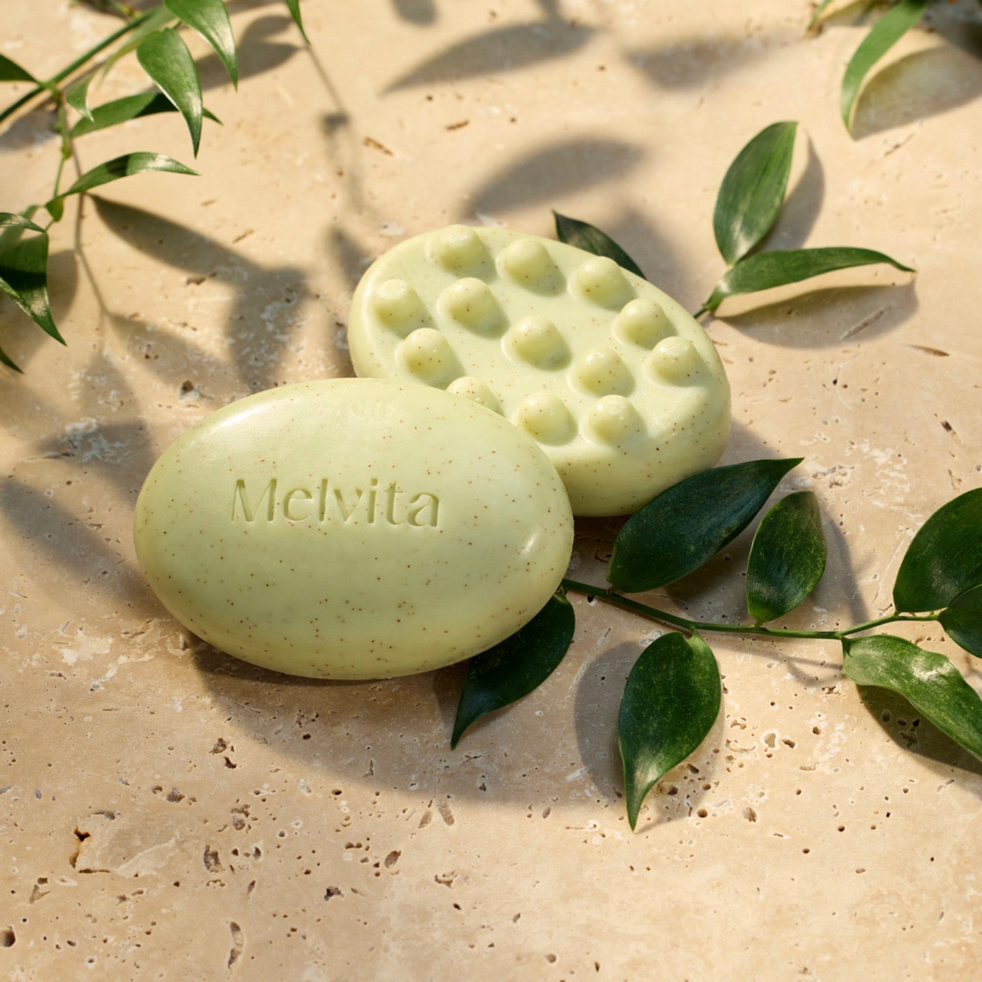Savon Exfoliant Lissant - L'Or Végétal - 2 G