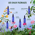 Roll-On Givré Contour Des Yeux De Bleuet - 15 Ml
