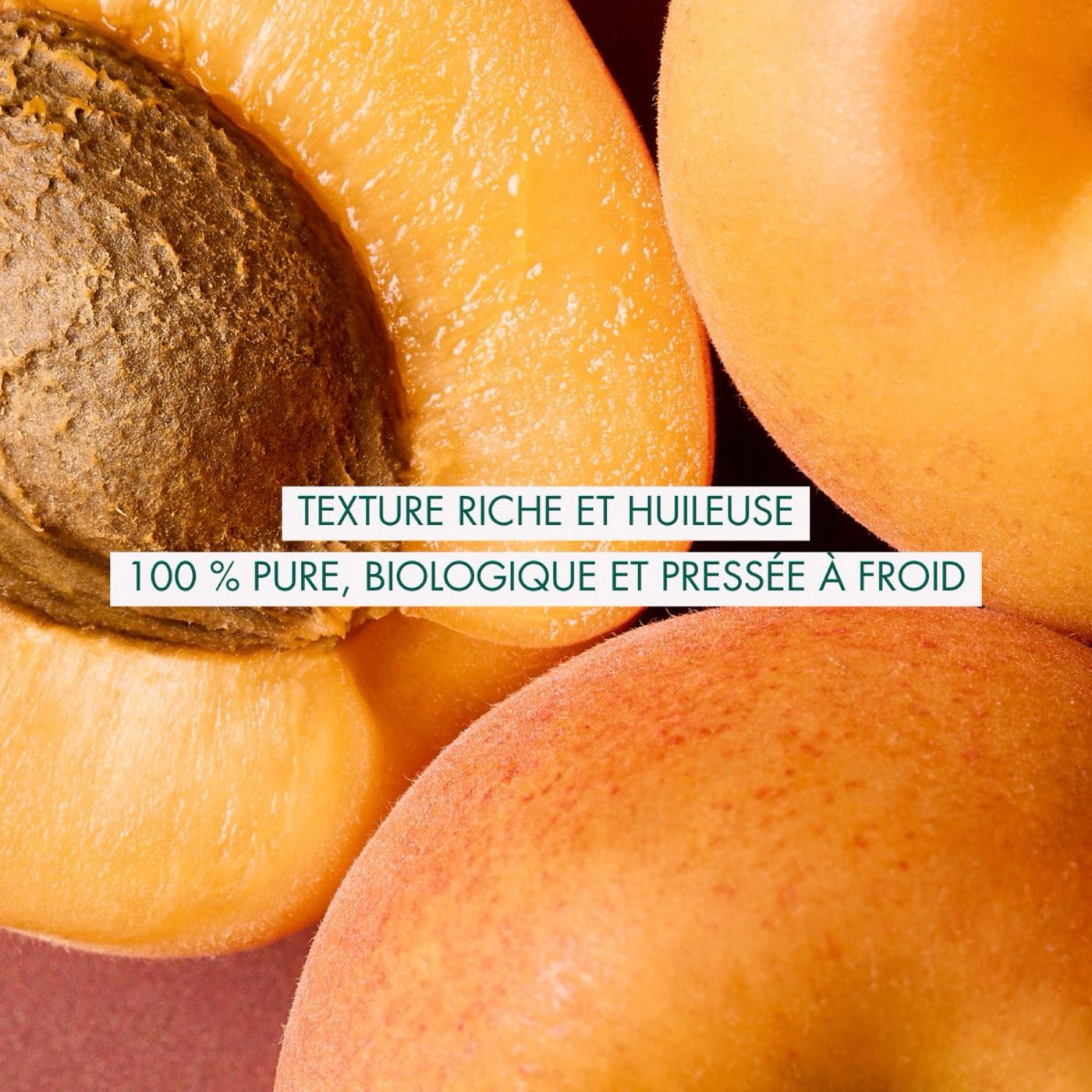 Huile De Noyau D'Abricot - Huiles De Beauté - 50 Ml