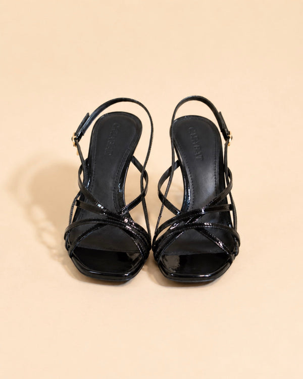 Sage In Black Naplak