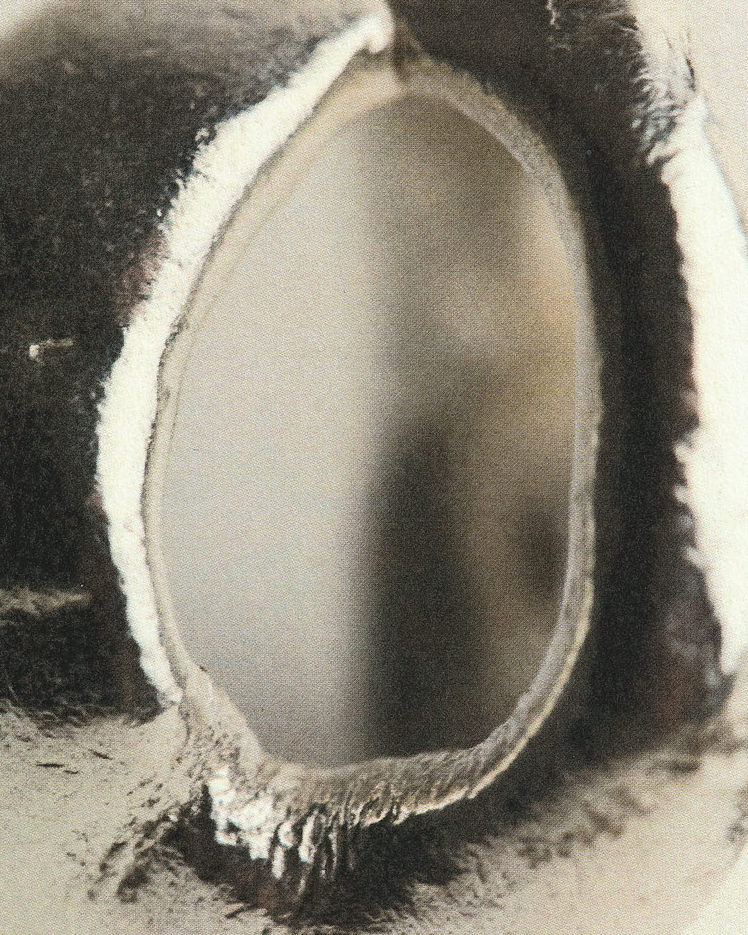 Bagues Cecilia - Argent