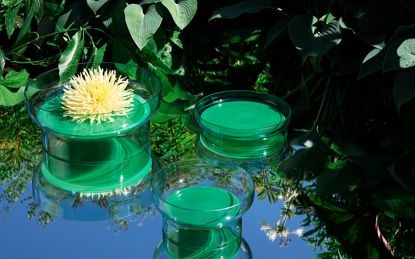 Bol - 27 Cm - Jade Green