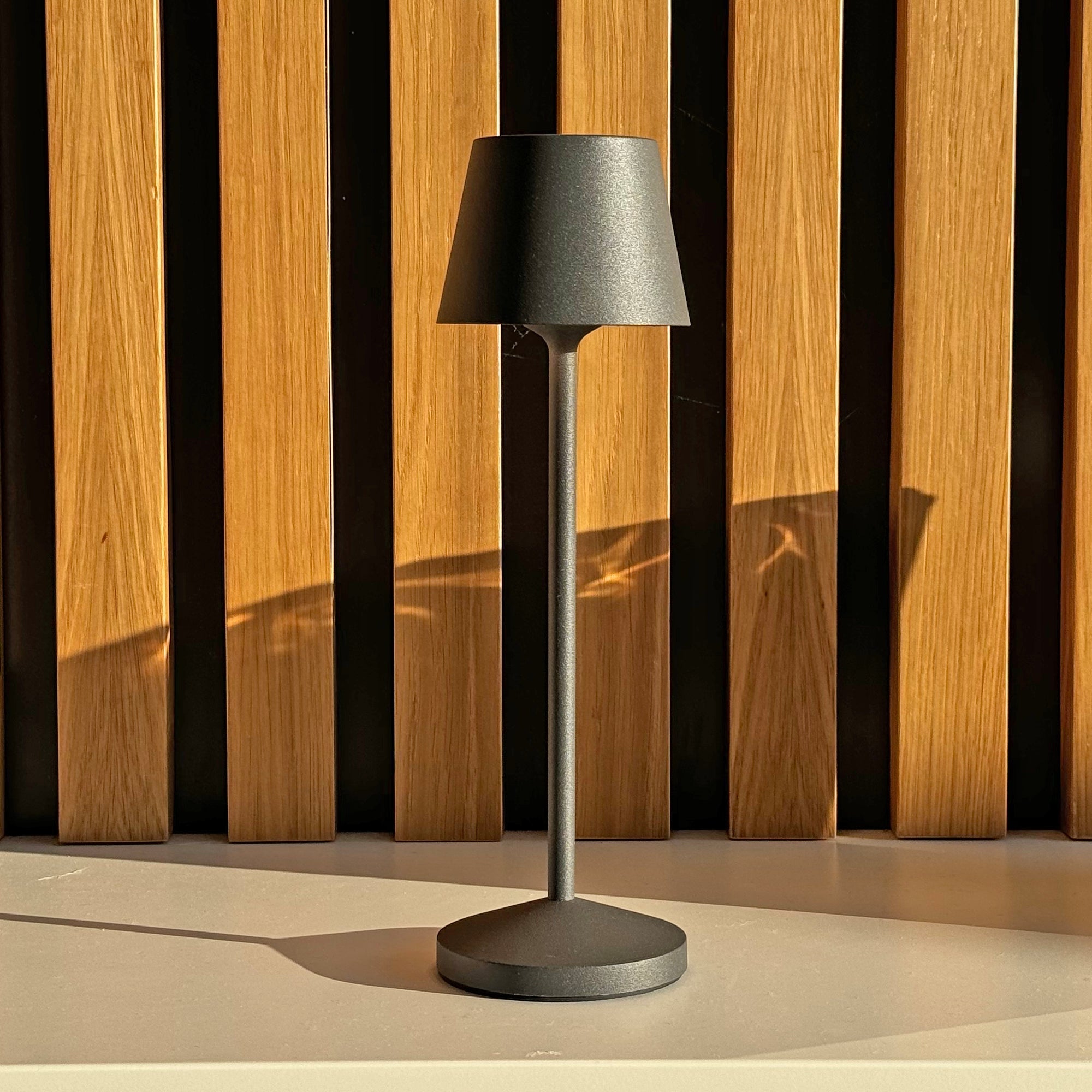 Emily - Lampe De Table Sans Fil - Acier - Gris Anthracite