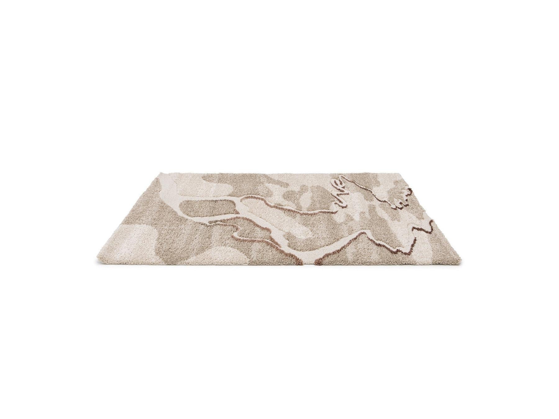Elvia - Tapis Poils Longs - Motif Abstrait - Beige
