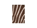 Tirasu - Tapis Poils Longs - Motif Abstrait - Marron