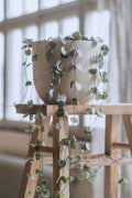 Ceropegia Woodii « Chaîne Des Cœurs » Suspendue – Plante D’Intérieur