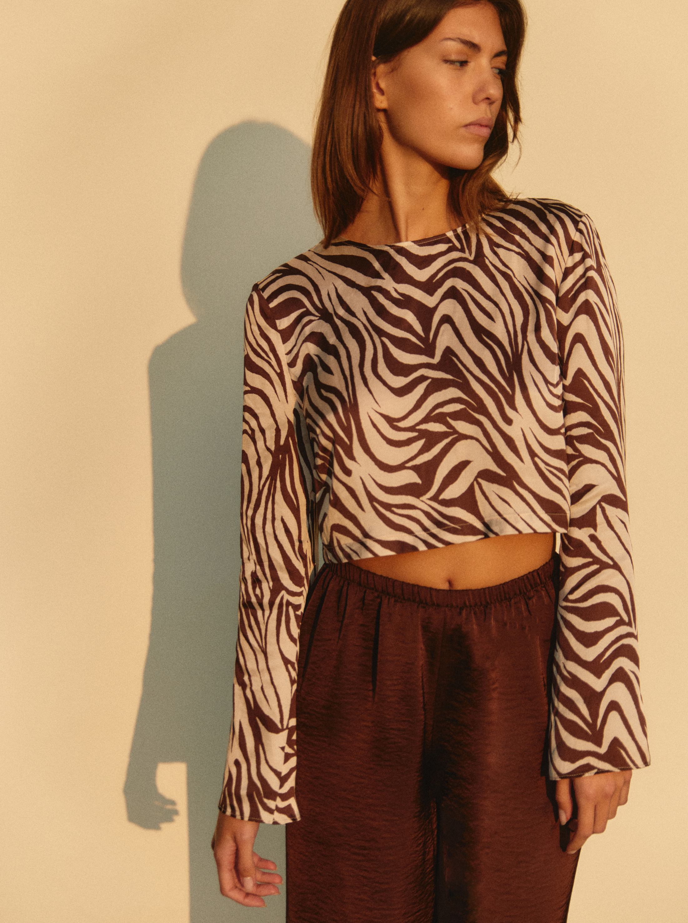 Top Chocolate Zebra