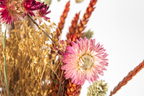 Bouquet Rustic Elegance – Plante D’Intérieur