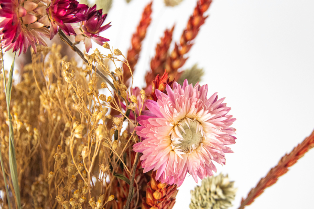 Bouquet Rustic Elegance – Plante D’Intérieur