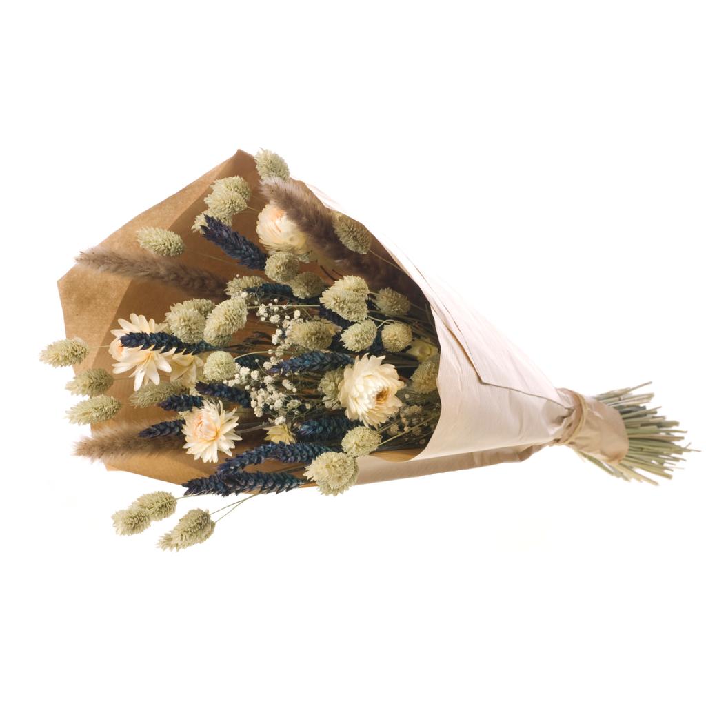 Bouquet Dreamy Petals – Plante D’Intérieur
