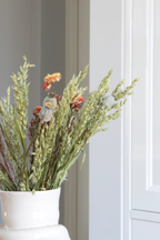 Bouquet Moroccan Nights – Plante D’Intérieur