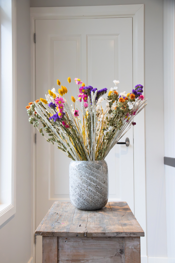 Bouquet Blissful Botanicals – Plante D’Intérieur