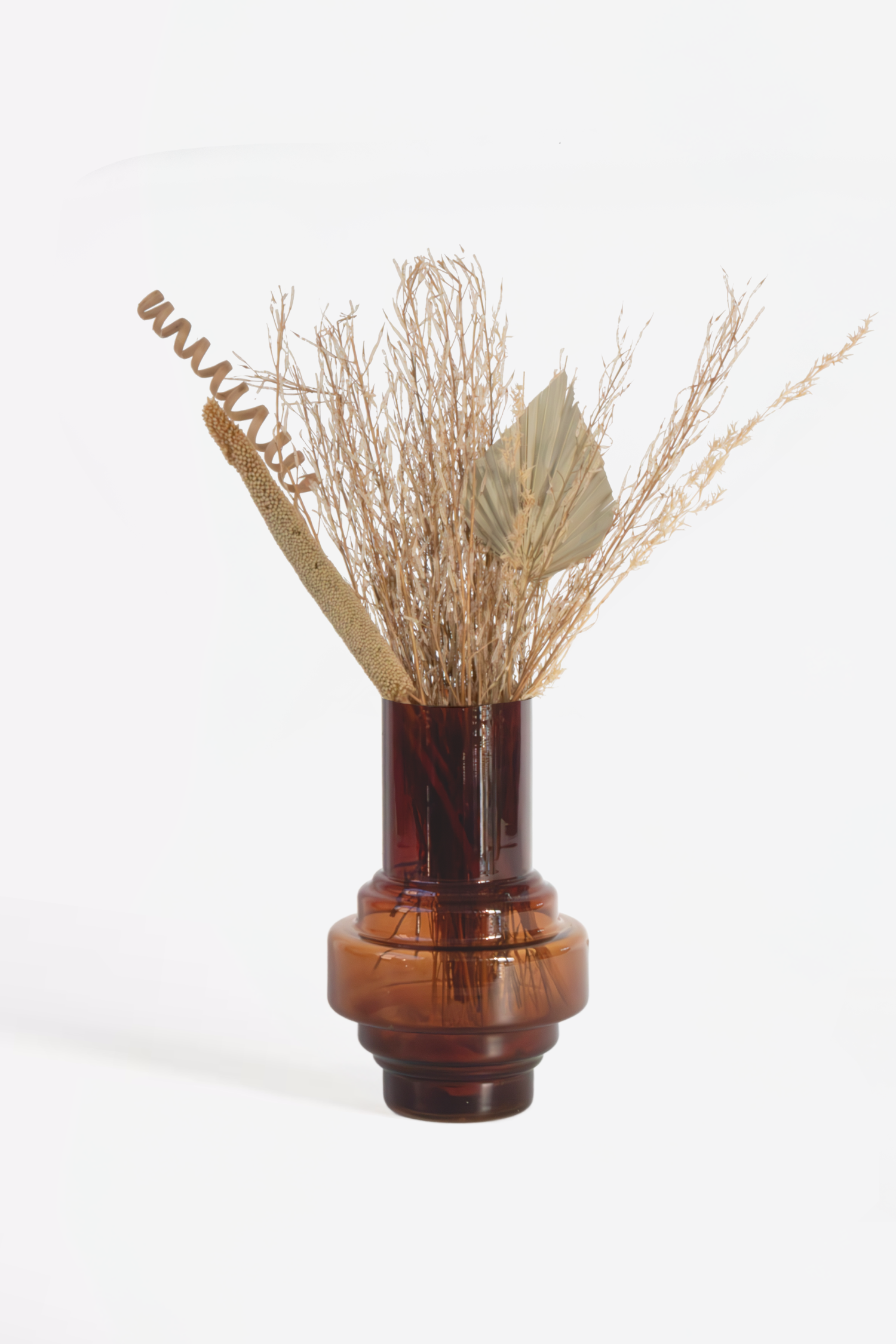 Bouquet Scandinavian Sun – Plante D’Intérieur