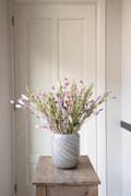 Bouquet Trendy Pastel – Plante D’Intérieur