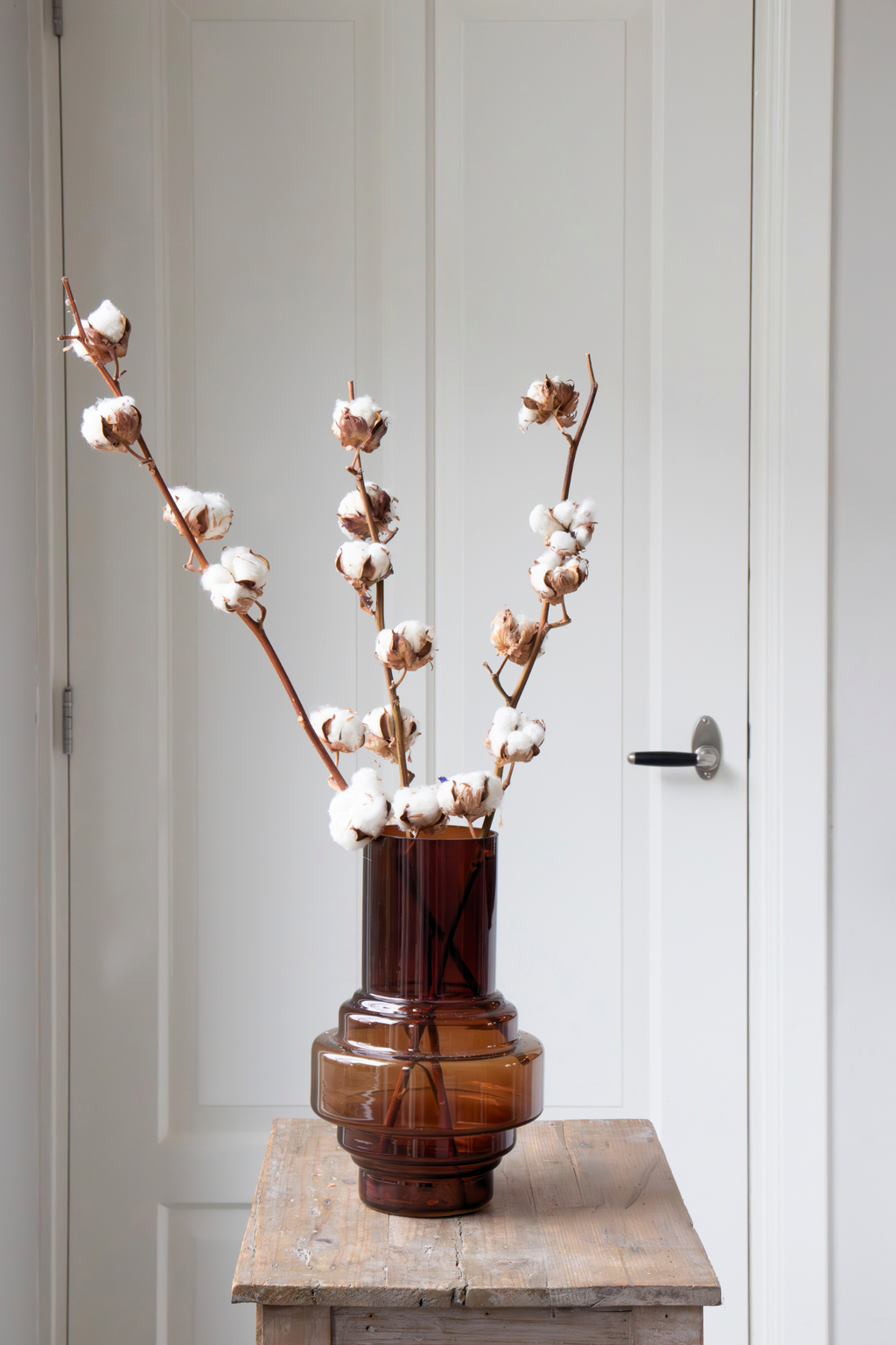 Lot De 3 Branches De Coton – Plante D’Intérieur