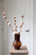Lot De 3 Branches De Coton – Plante D’Intérieur