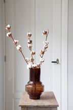 Lot De 3 Branches De Coton – Plante D’Intérieur
