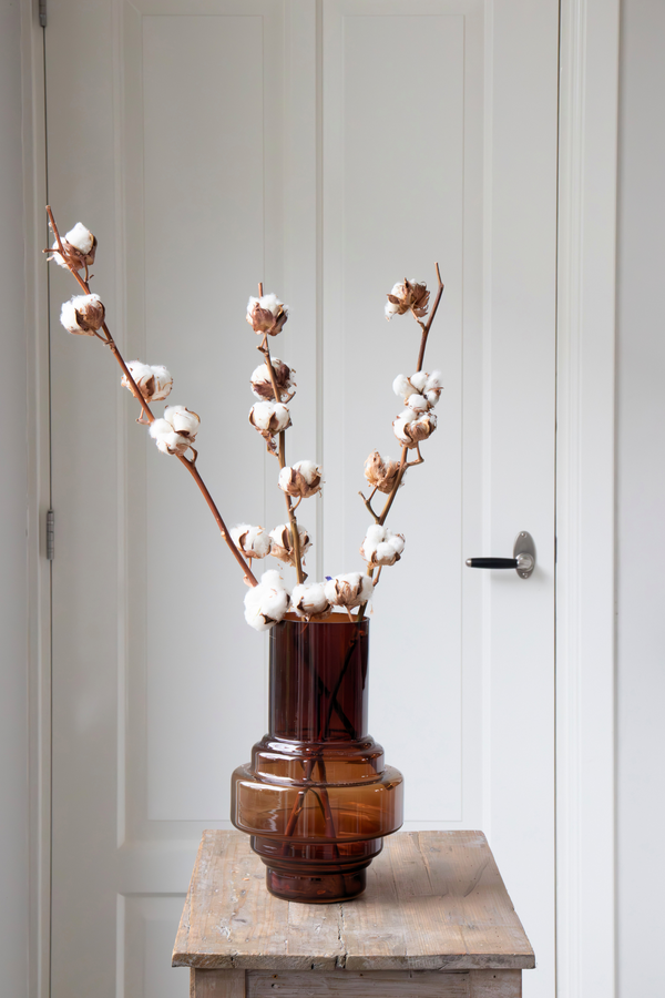 Lot De 3 Branches De Coton – Plante D’Intérieur
