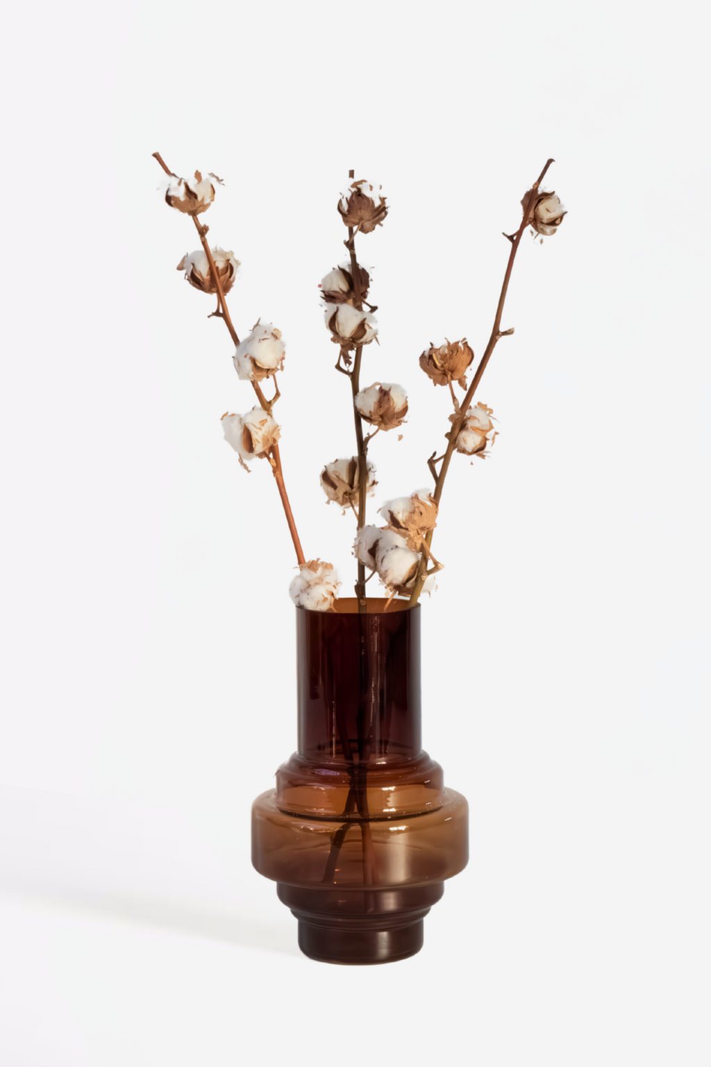Lot De 3 Branches De Coton – Plante D’Intérieur