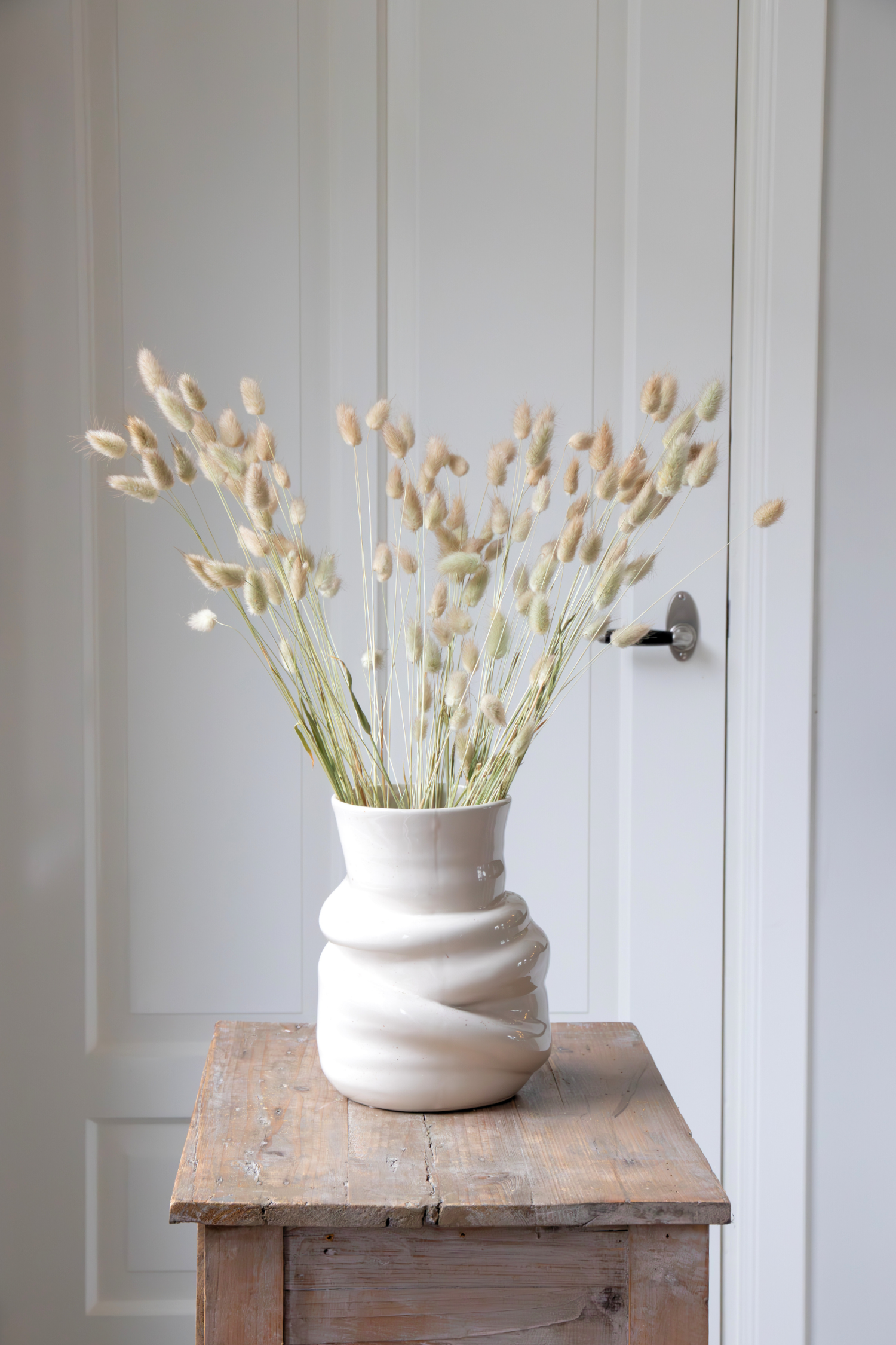 Lagurus « Queue De Lapin » – Plante D’Extérieur