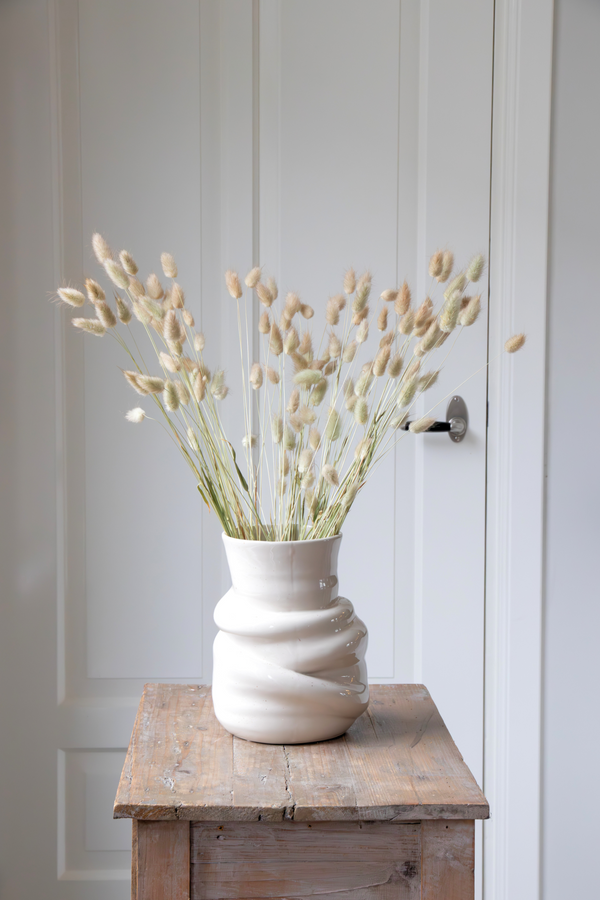 Lagurus « Queue De Lapin » – Plante D’Extérieur