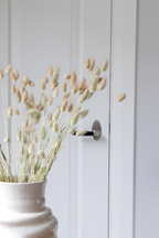 Lagurus « Queue De Lapin » – Plante D’Extérieur