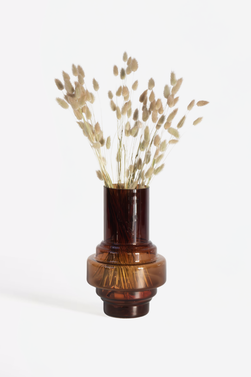 Lagurus « Queue De Lapin » – Plante D’Extérieur
