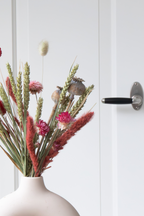 Bouquet Pink Cocktail – Plante D’Intérieur
