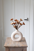 Lot De 10 Protéa Compacta – Plante D’Extérieur