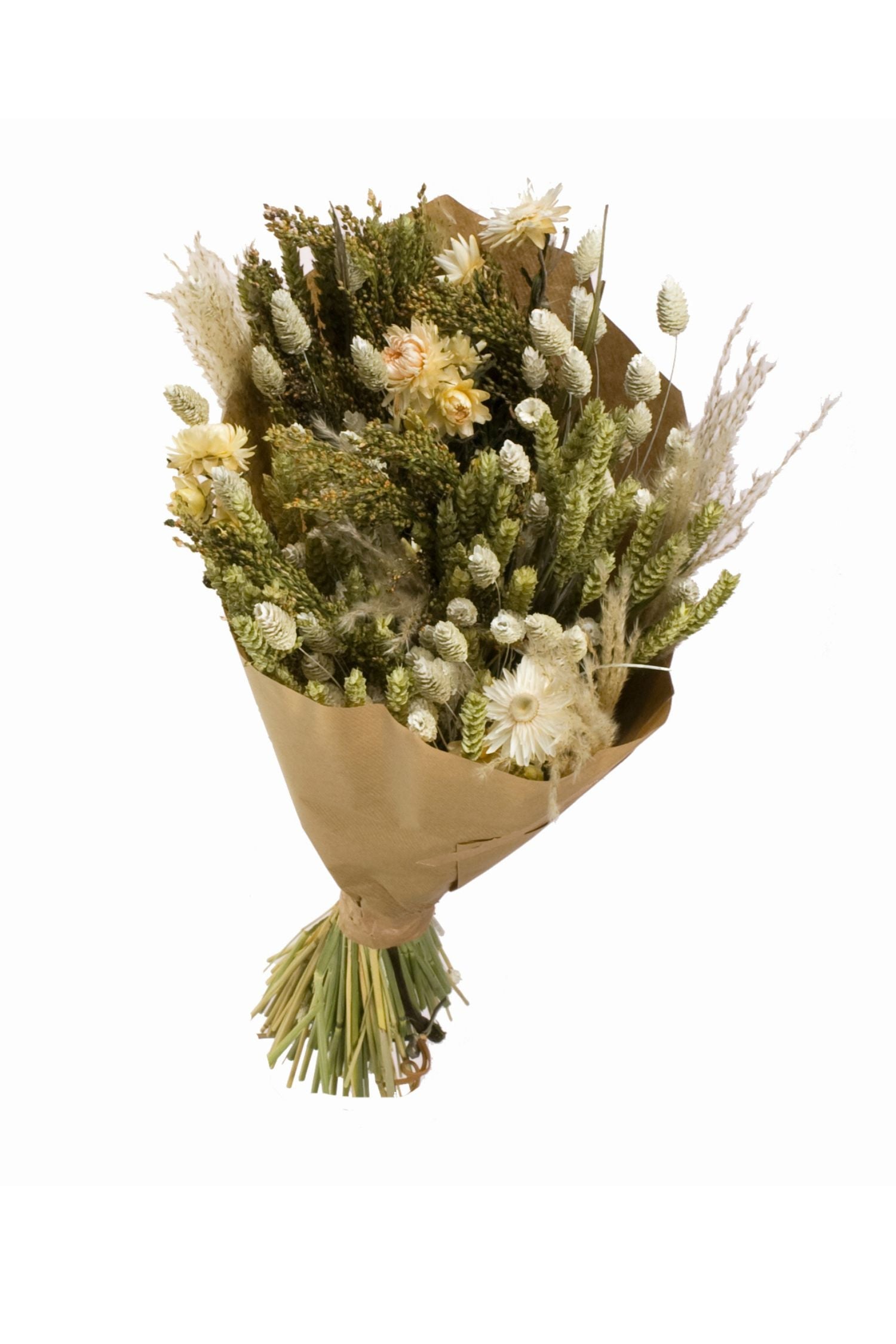 Bouquet Natural Elegance – Plante D’Intérieur