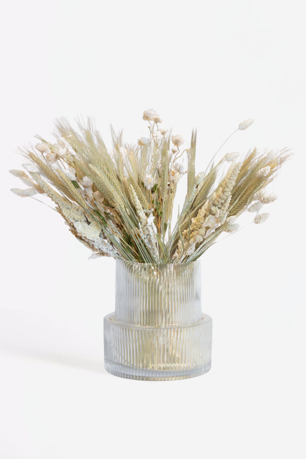 Bouquet Delicate Dream – Plante D’Intérieur