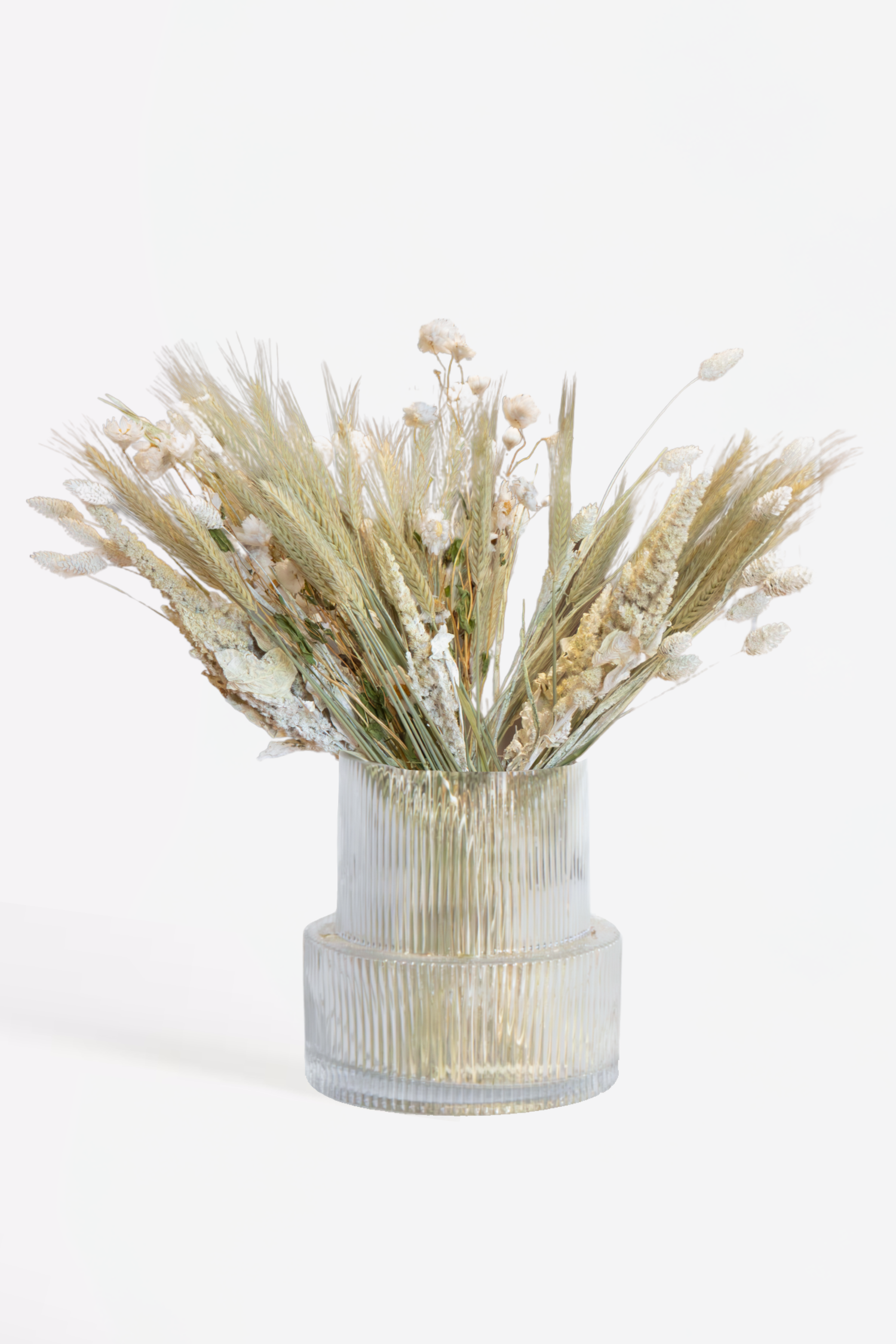 Bouquet Delicate Dream – Plante D’Intérieur