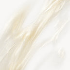 Hydra Glow Sérum Hyaluronique Aux Peptides