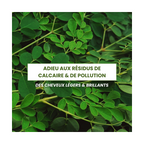 Cure Detox Cuir Chevelu