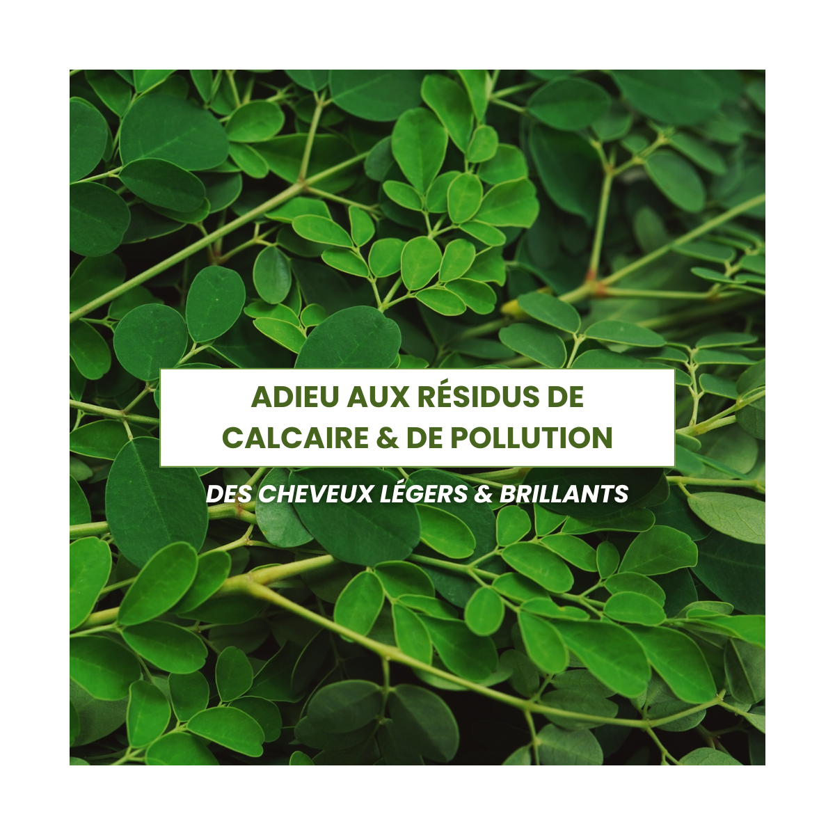 Cure Detox Cuir Chevelu