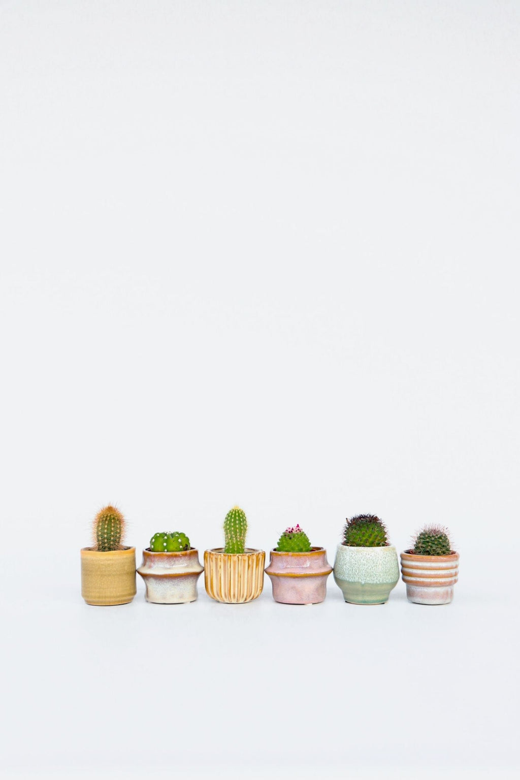 Mélange De 6 Mini Cactus – Plante D’Intérieur