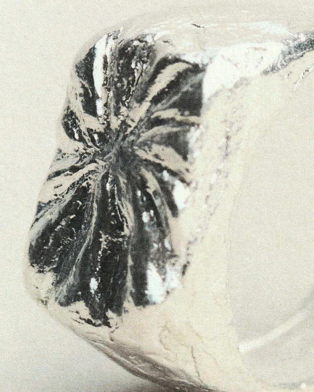 Bagues Carmina - Argent