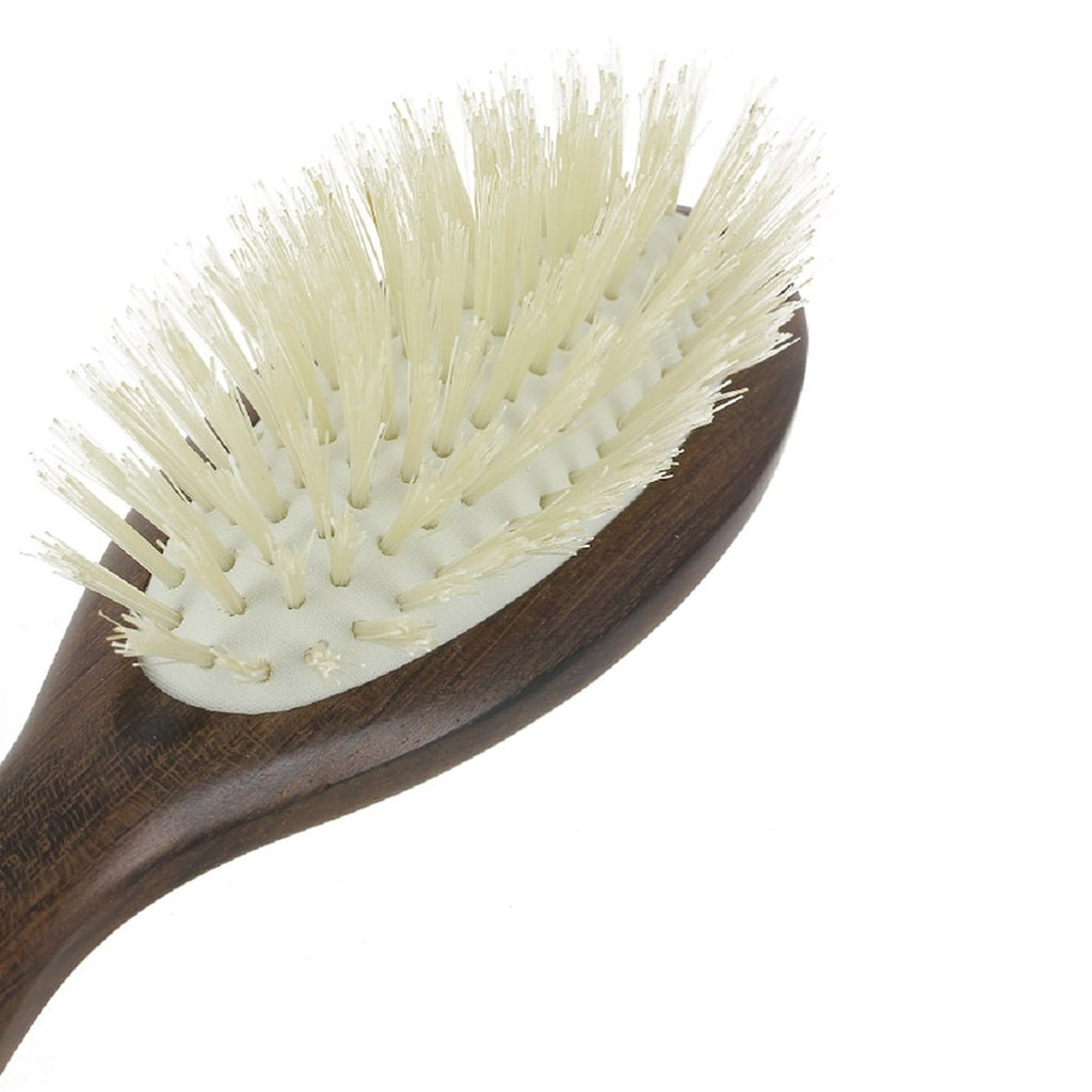 Christophe Robin - Brosse De Voyage