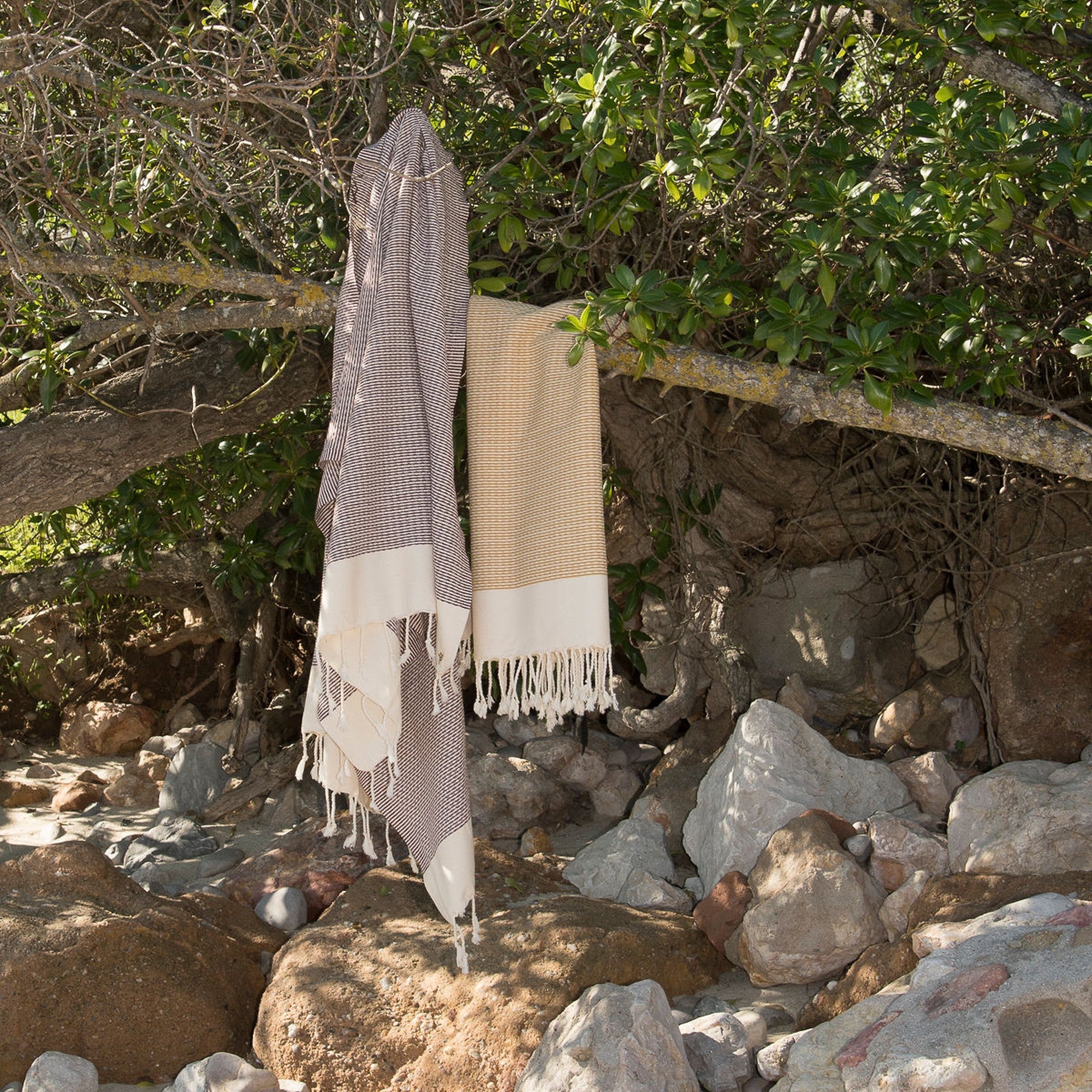 Rio - Fouta - Prune